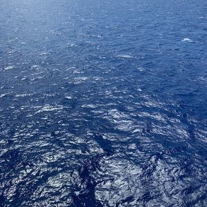 Meet your Posher, Jesse